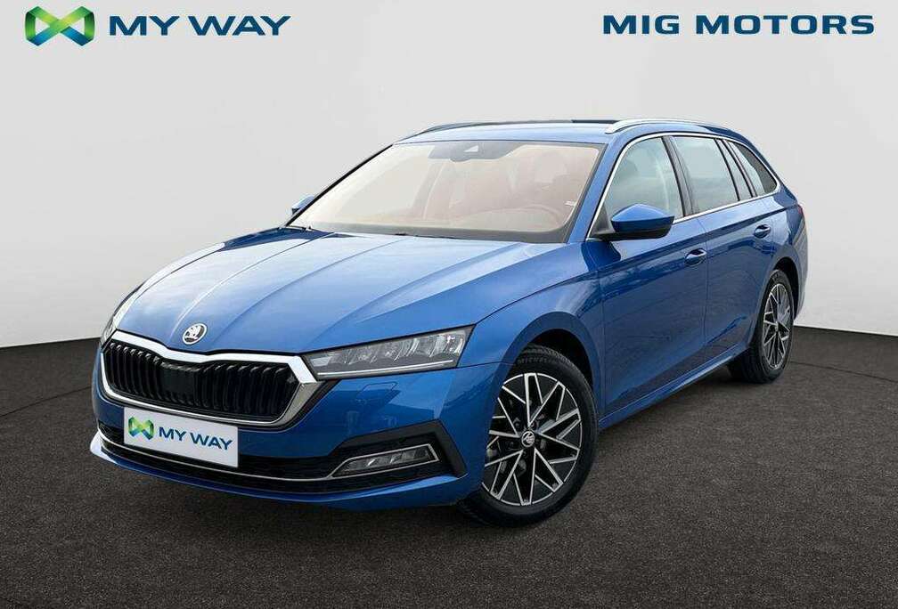 Skoda Limited Family Plus Edition 1.0 TSI MHEV (110pk) AUTOMAAT /// Inklapbare trekhaak /// Achteruitrijcamera /// Zetelverwarm