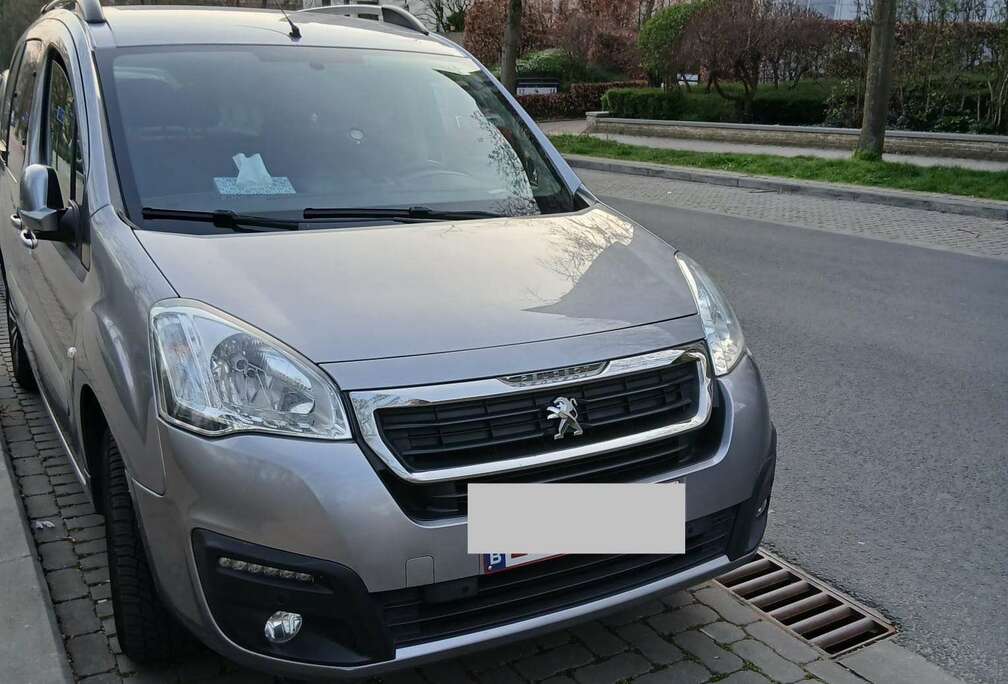 Peugeot 1.6i Full Option 6b