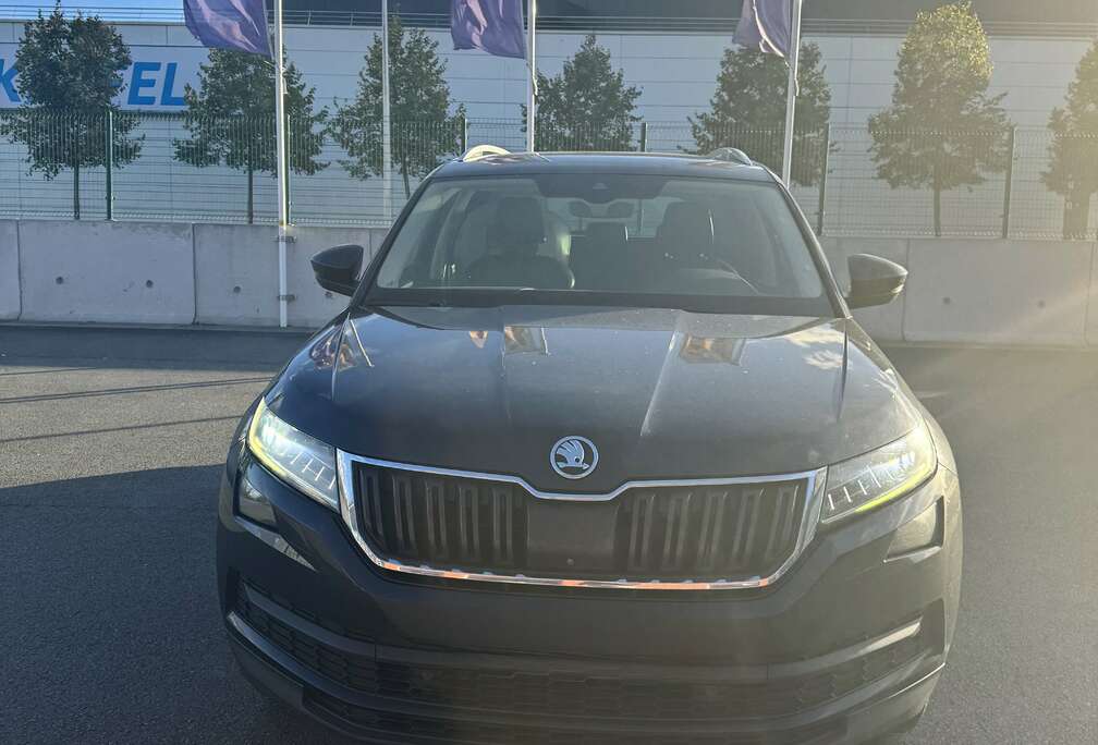 Skoda 2.0 CR TDi 4x4 Ambition DSG