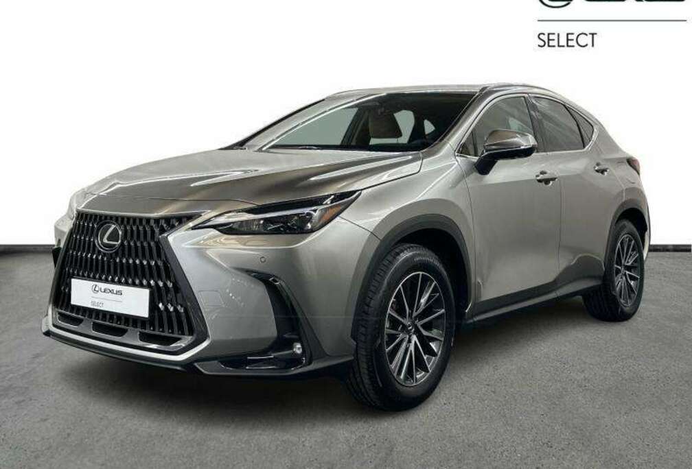 Lexus Executive Line + HUD