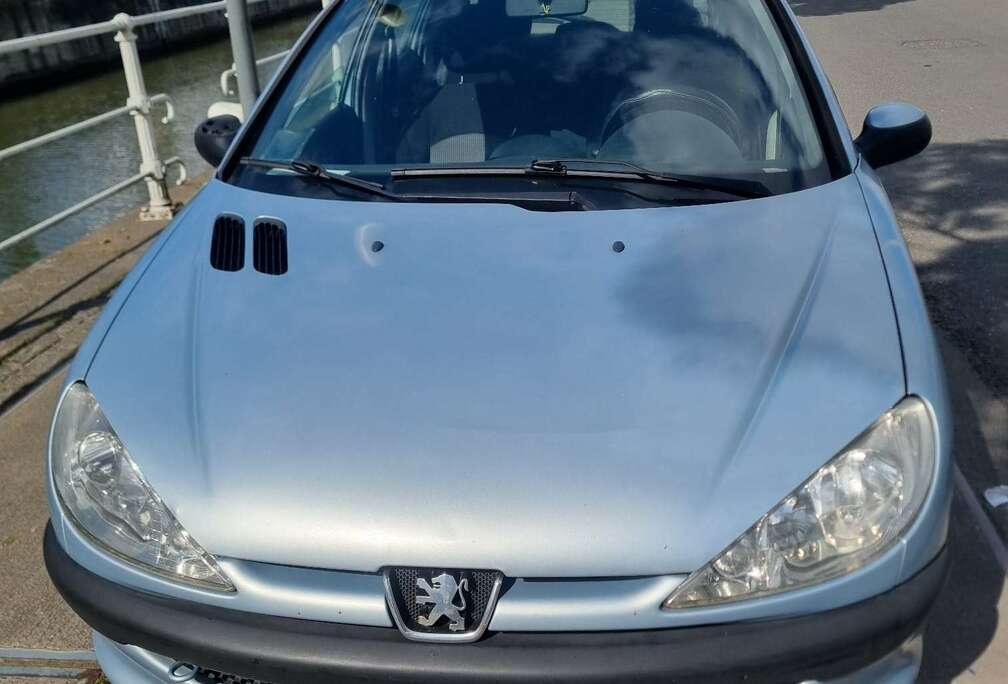 Peugeot 206 1.4i Enfant Terrible