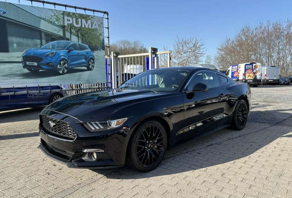 Ford EcoBoost 317pk / manueel