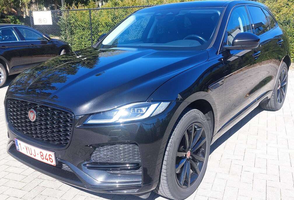 Jaguar