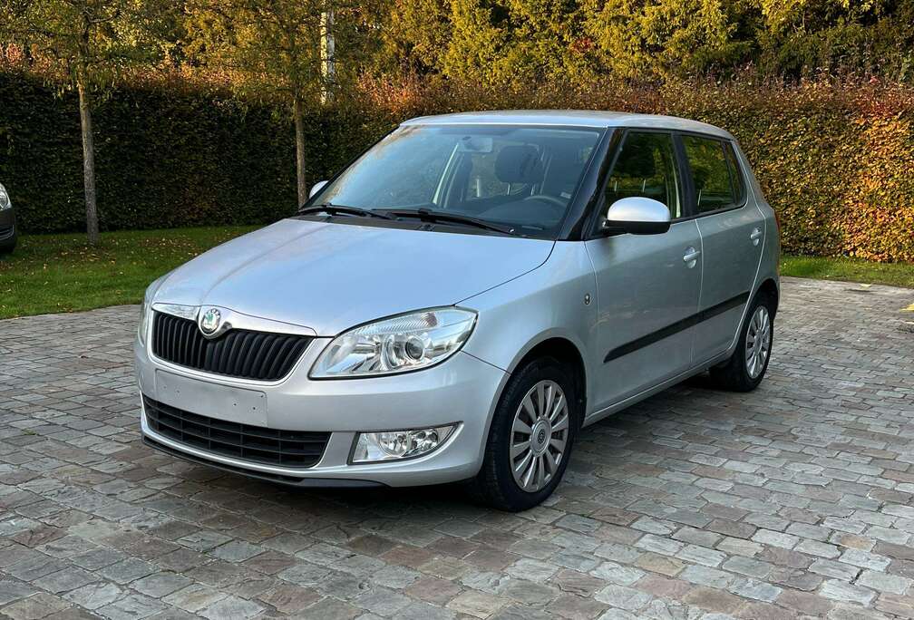 Skoda 1.6 CR TDi Ambiente DPF Problème moteur