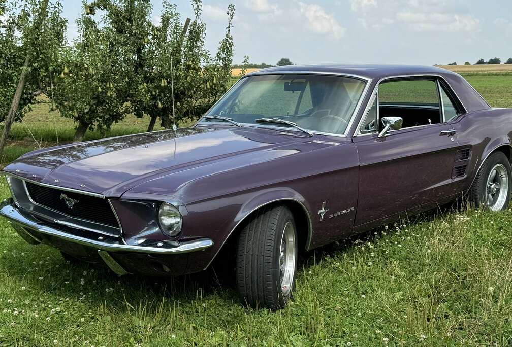Ford 1967 V8 289ci Automatique