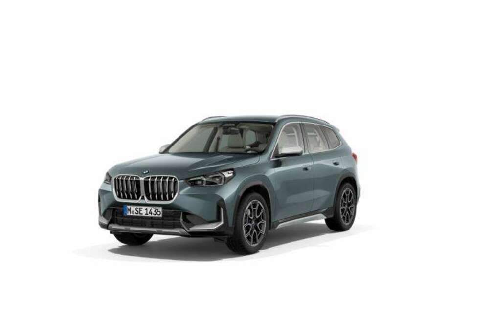 BMW X LINE - HAAK - LEDER - ACC