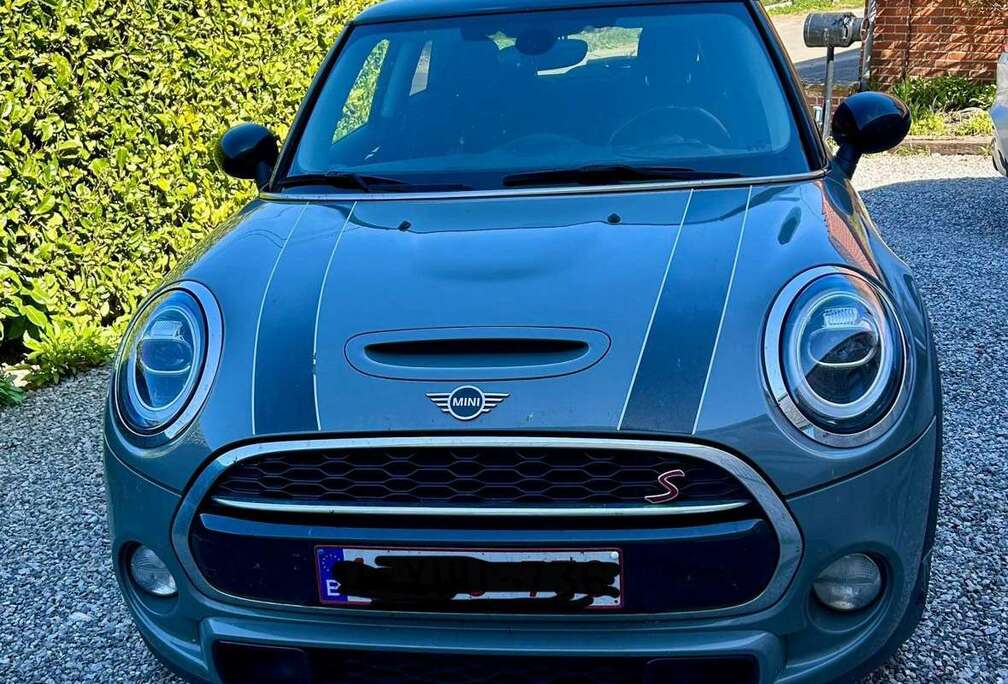 MINI 2.0 DAS S (EU6c)