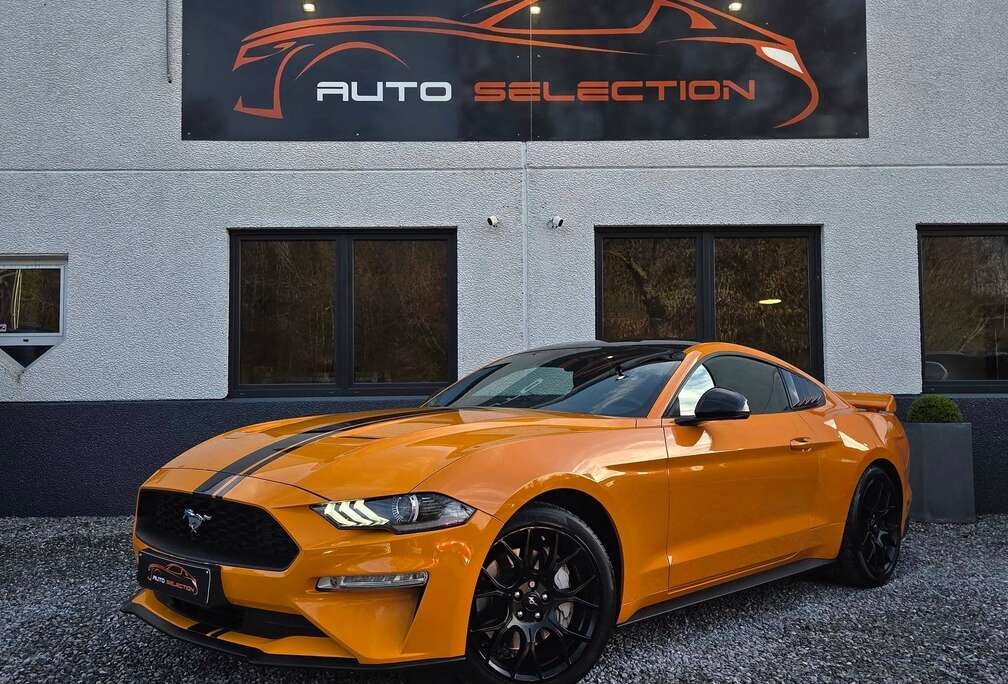 Ford 2.3i  B&O  COCKPIT  TRACK APP  ECL. AMBIANT