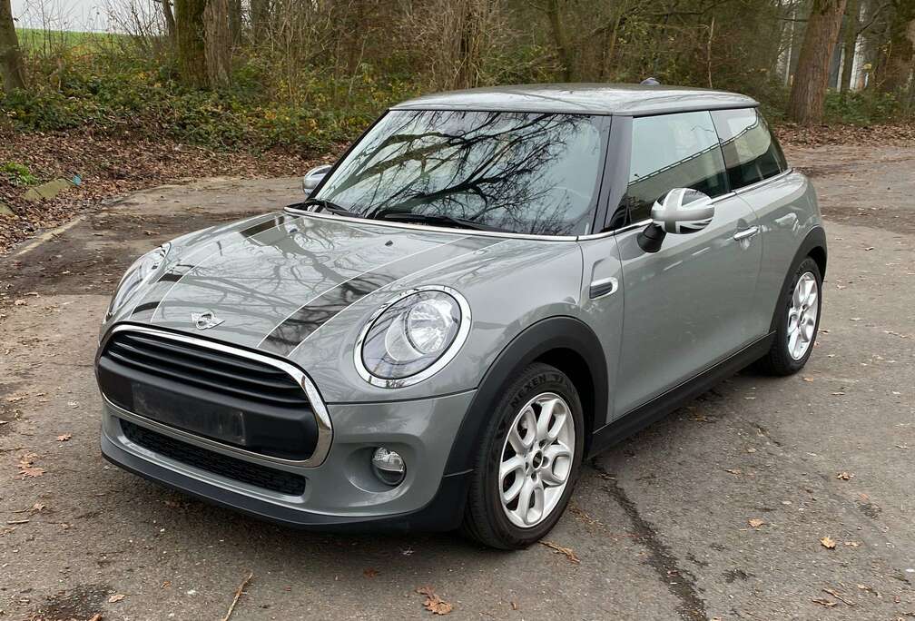 MINI