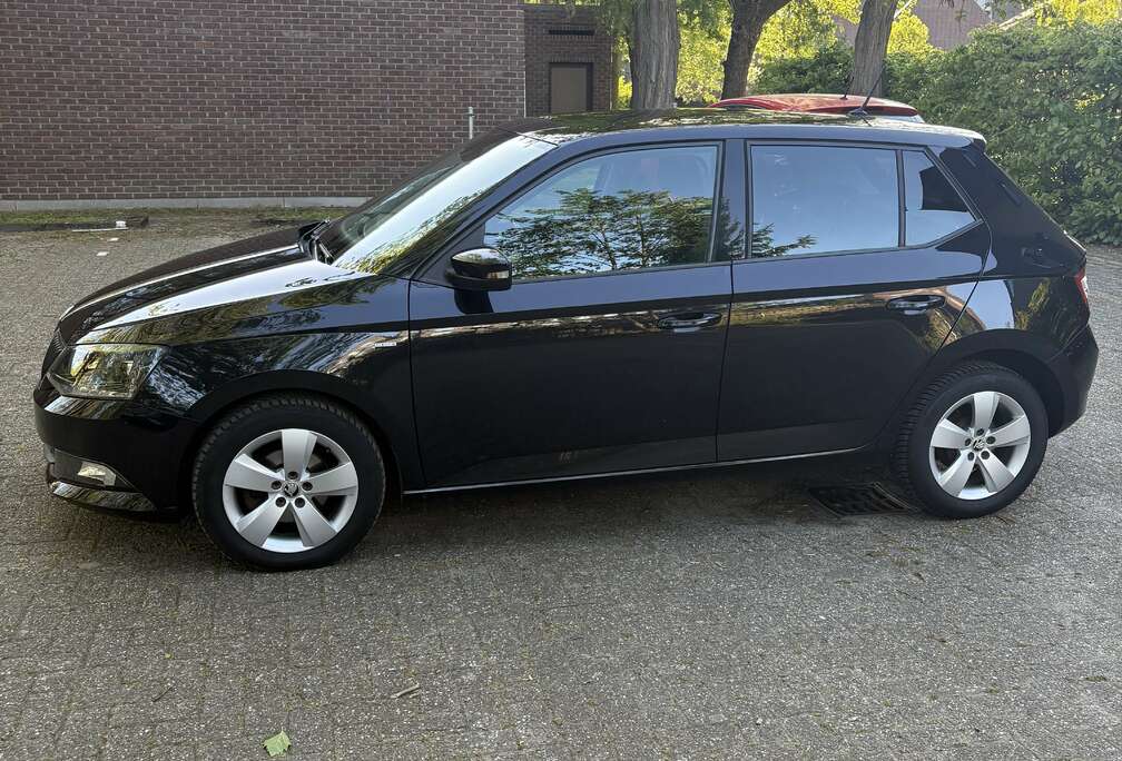 Skoda 1.0 TSI ultimate -1ste Eigenaar