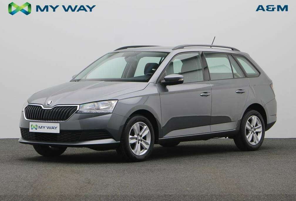 Skoda 1.0 TSI 95 PK BENZINE