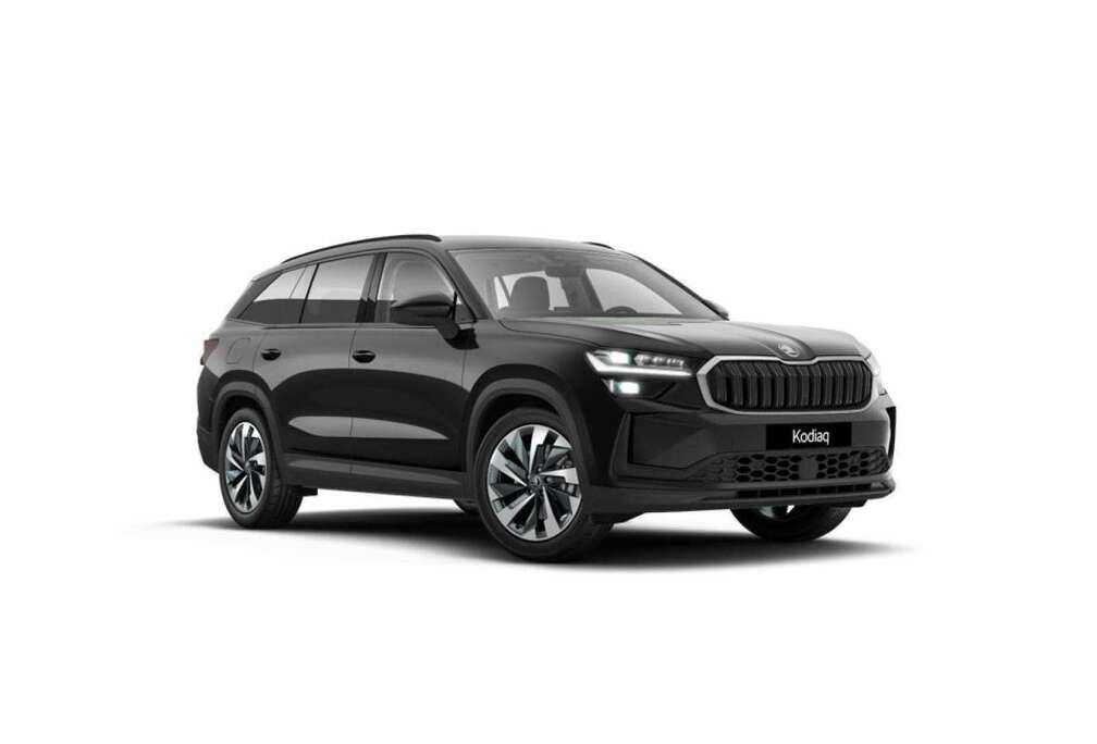 Skoda Selection 2.0 TDI 193 PS 4X4 DSG7