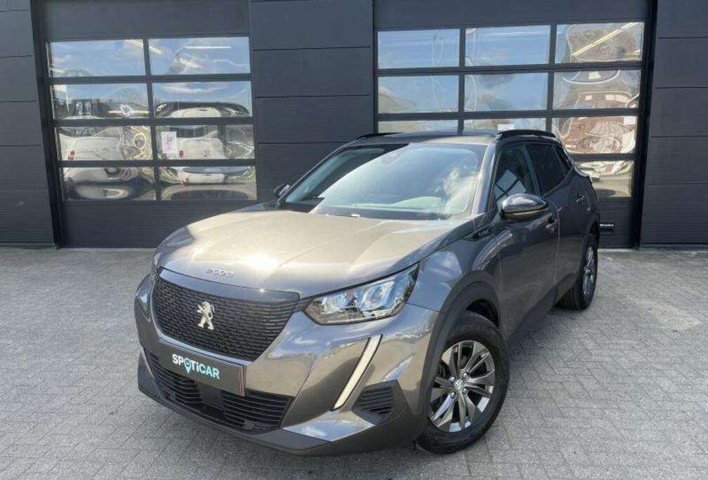 Peugeot Style