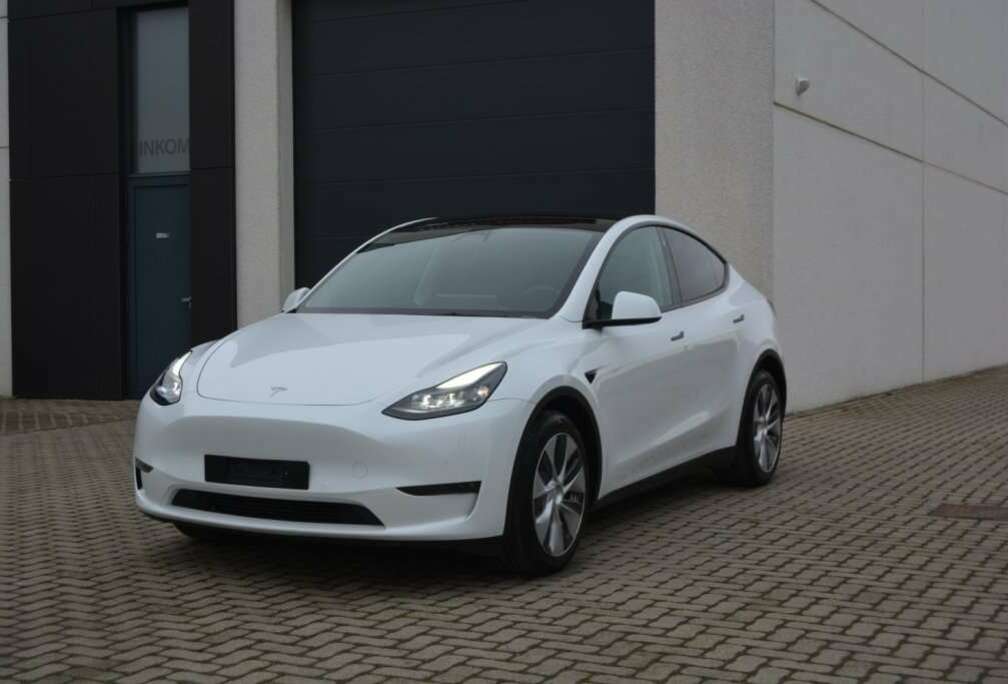 Tesla Long Range Dual Motor/Btw inclusief/Pearl White