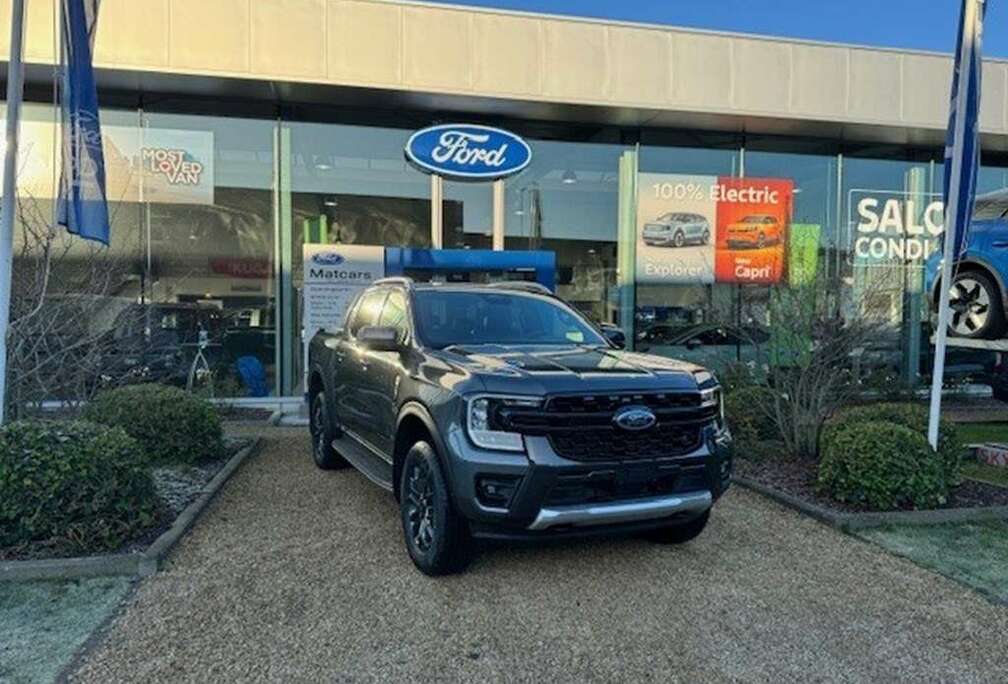 Ford 2.0 Biturbo 205pk WILDTRAK 4x4