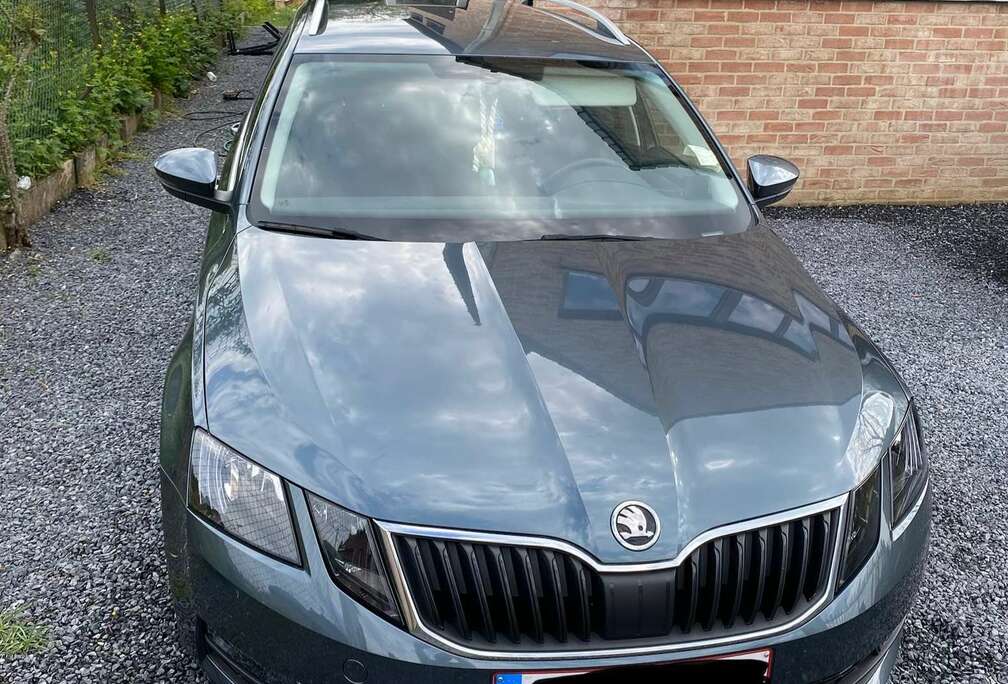 Skoda Octavia SW CNG 1.4 TSI Ambition DSG