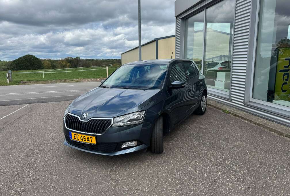 Skoda Fabia Combi 1.0 TSI DSG Style