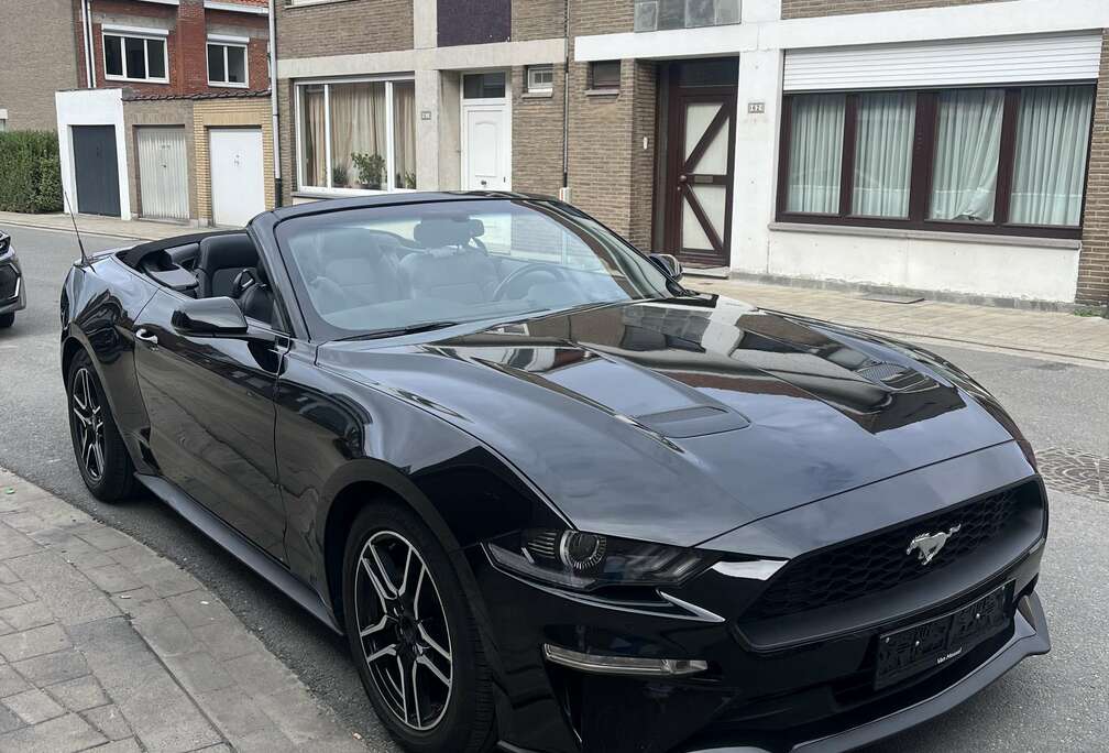 Ford Convertible 2.3 EcoBoost USA import