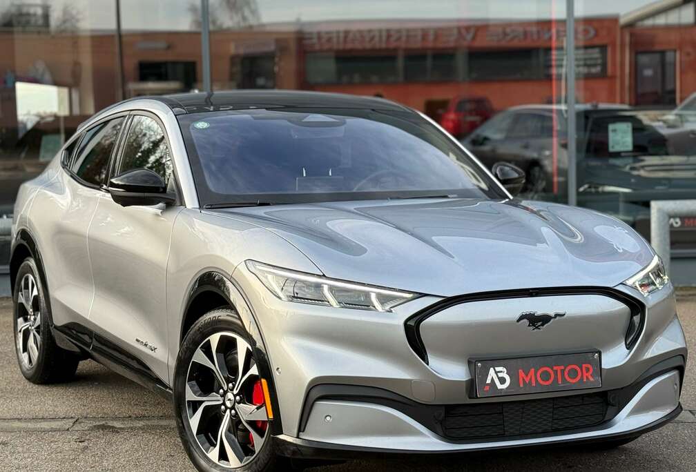 Ford 4X 99kWh TVAC Extended Range First Edition FULL