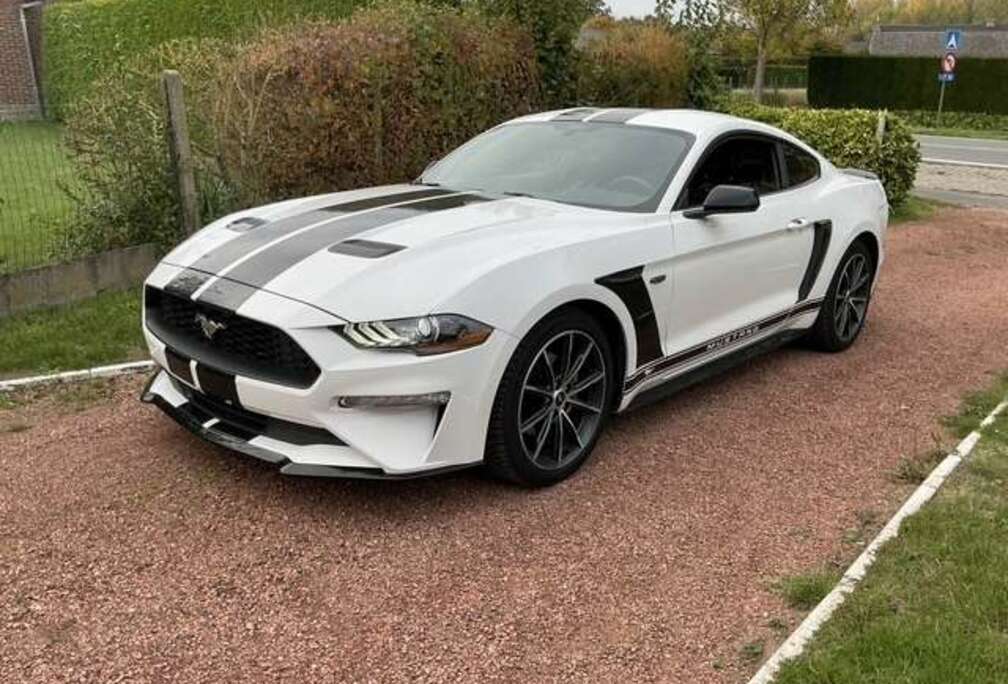 Ford 2.3 Eco Boost Aut.