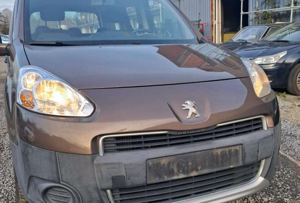 Peugeot Tepee 1.6 HDi FAP 75ch Access