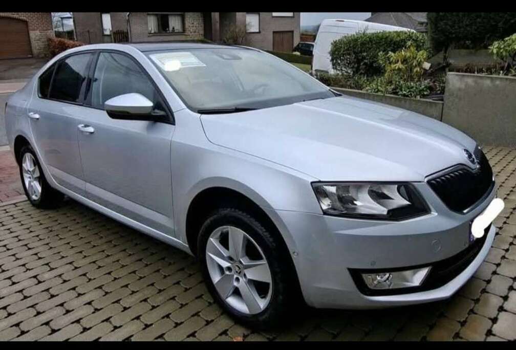 Skoda 1.2 TSI Active