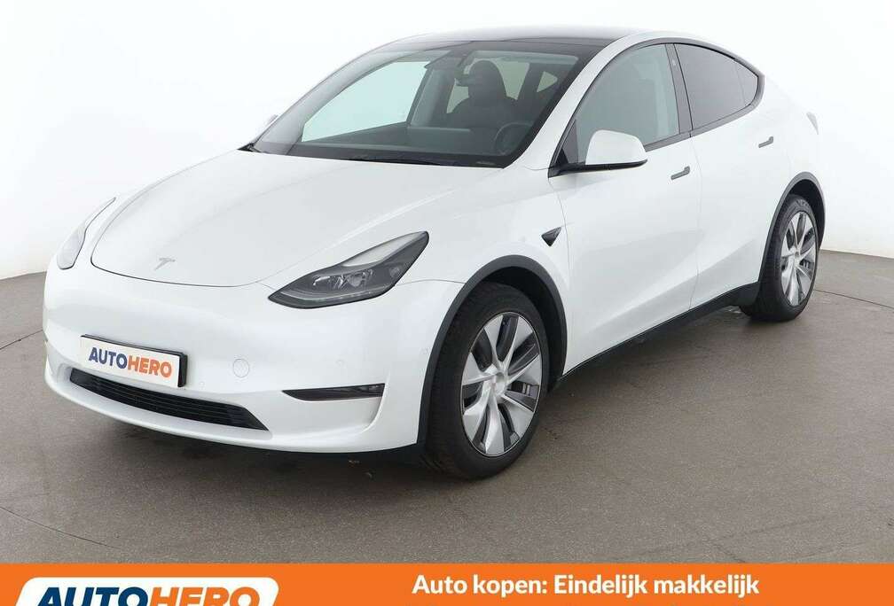 Tesla Max Range Dual AWD AWD