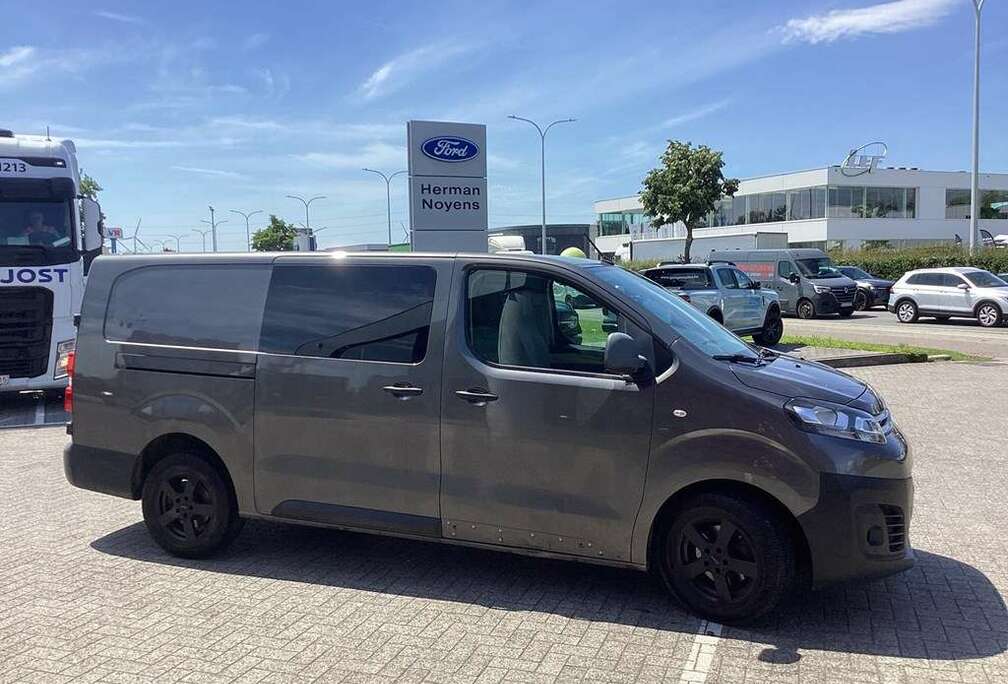 Citroen Enkel voor professionele verkoop.
