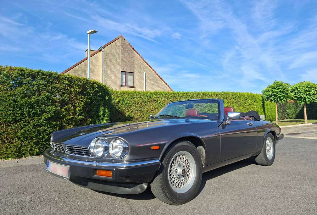 Jaguar V12