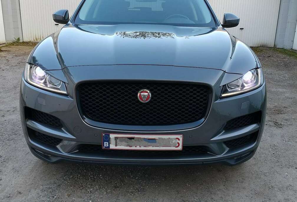 Jaguar 20d Aut. - Pano - Trekhaak 4x4