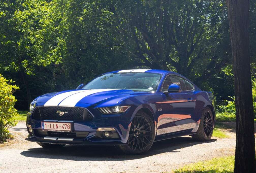 Ford Fastback V8 5.0 421 GT