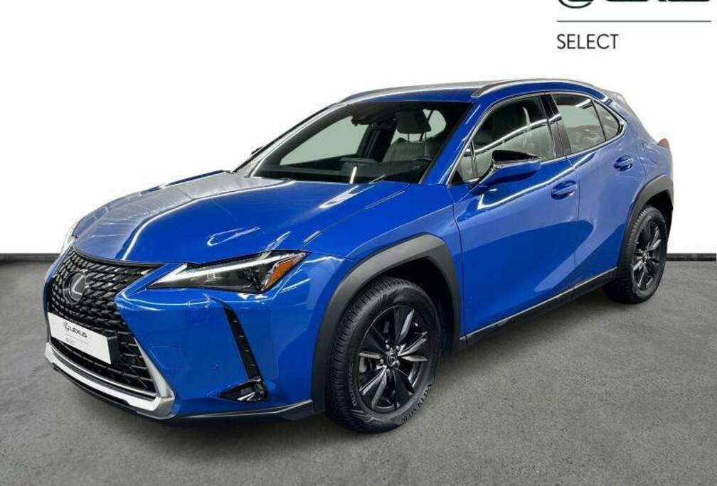 Lexus Business Line  camera  carplay  4Season tyres