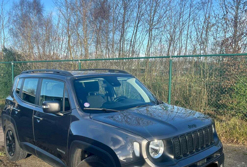 Jeep 1.0 T-GDI Night Eagle