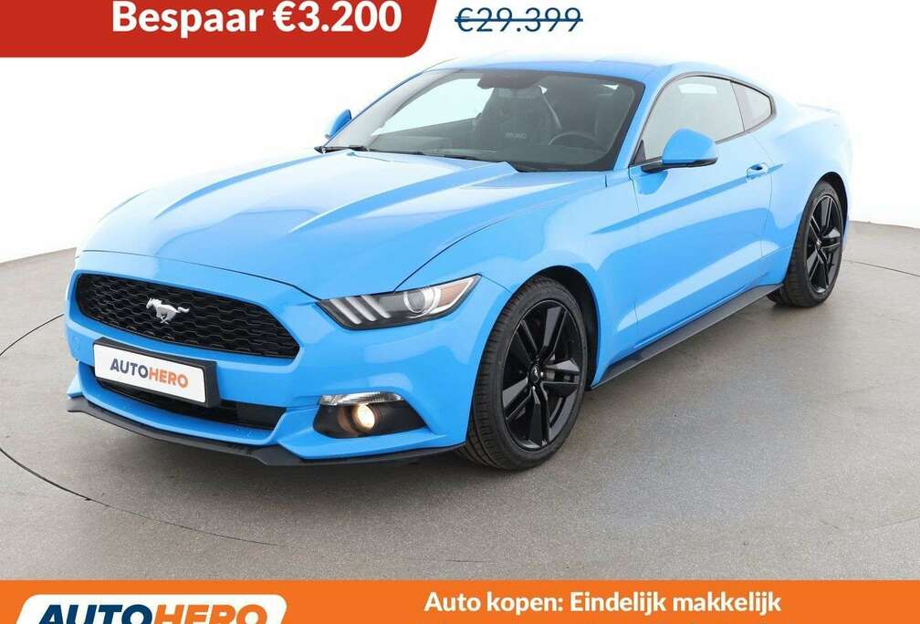 Ford 2.3 EcoBoost Basis