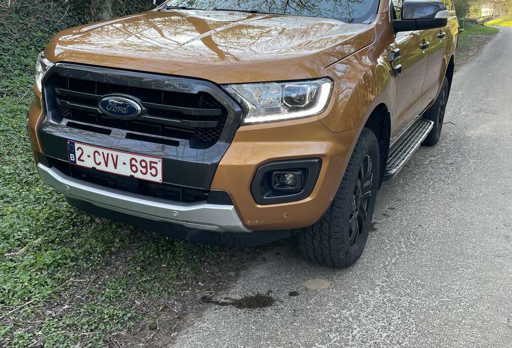 Ford 2.0 BiT EcoBlue Wildtrak (EU6.2)
