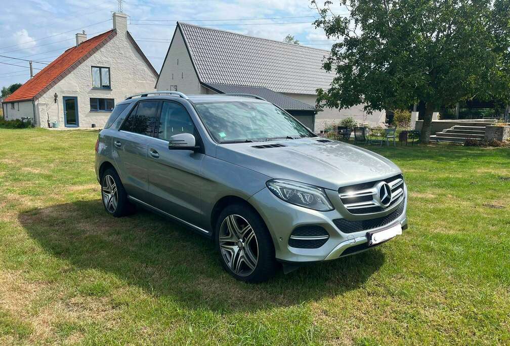 Mercedes-Benz GLE 350 d 4-Matic - Lichte vracht