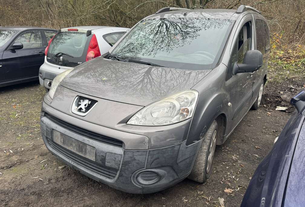 Peugeot Partner Tepee 1.6 HDi Confort