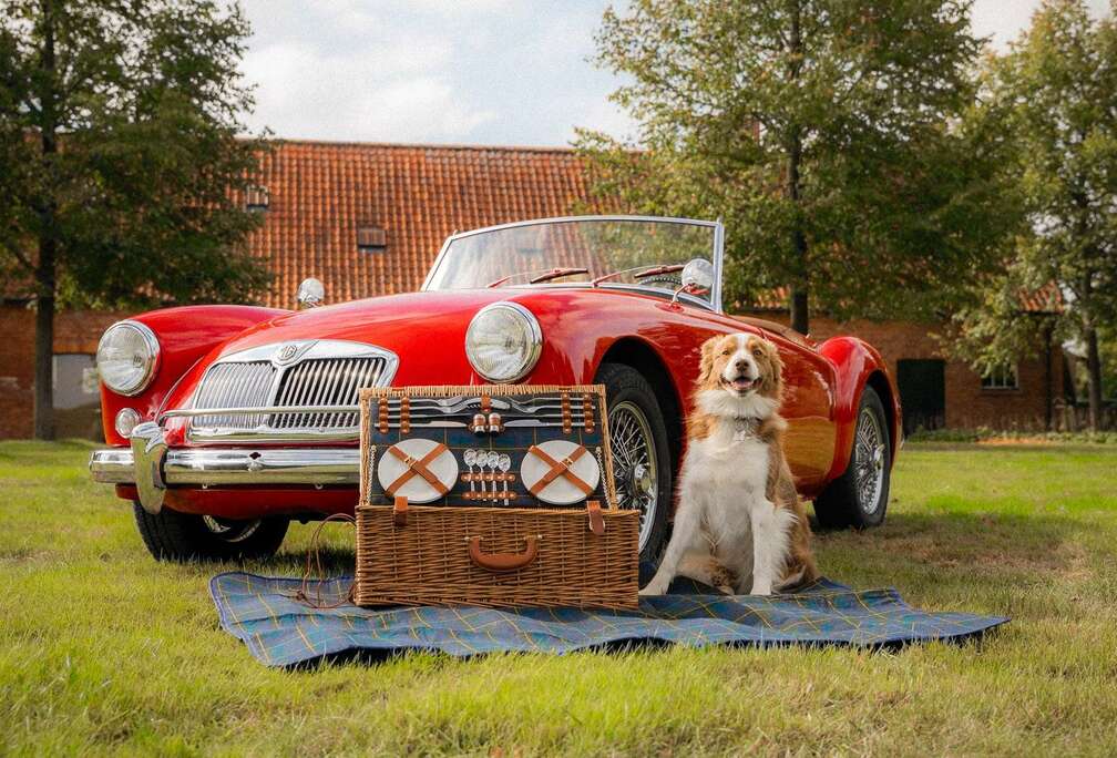 MG Upgraded and excellent condition