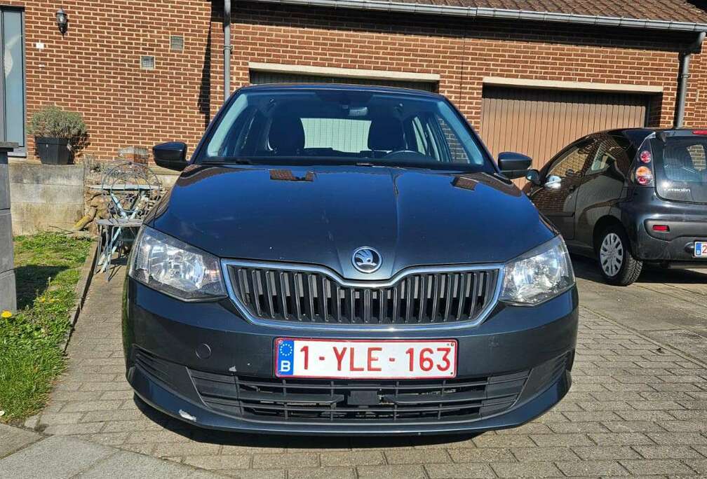 Skoda 1.4 TDI 90 CR FAP Greentec Red and Grey