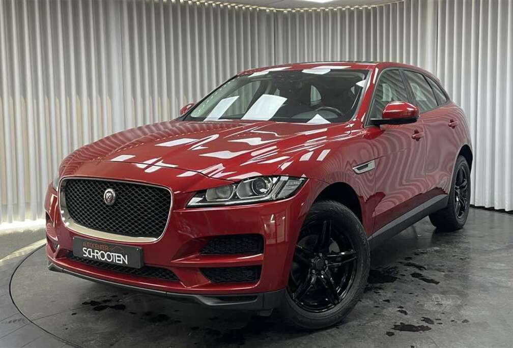 Jaguar Pure