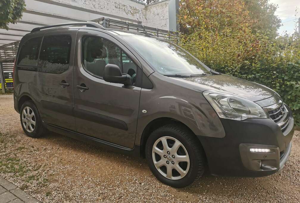 Peugeot Tepee 1.6 BlueHDi Active S