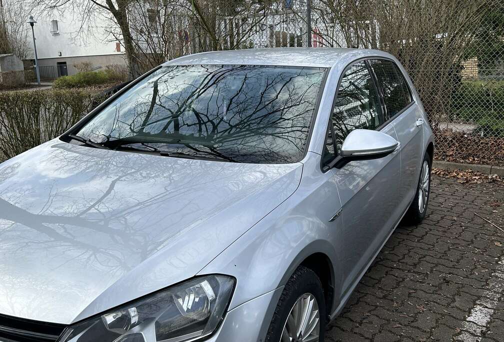 Volkswagen 1.6 TDI 105 BlueMotion Technology FAP Confortline