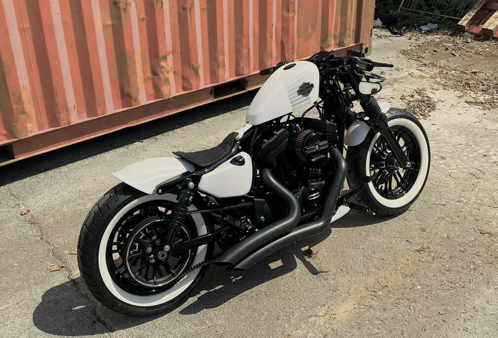 1200 Blanche Bobber Unique Custom TRÈS RARE