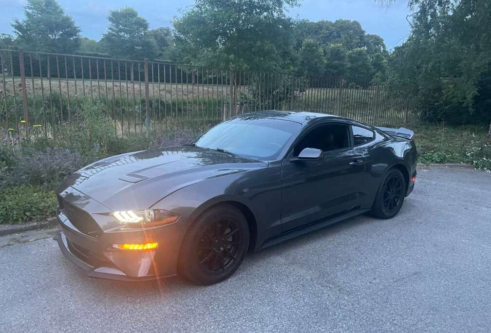 Ford 2.3 Eco Boost Aut.