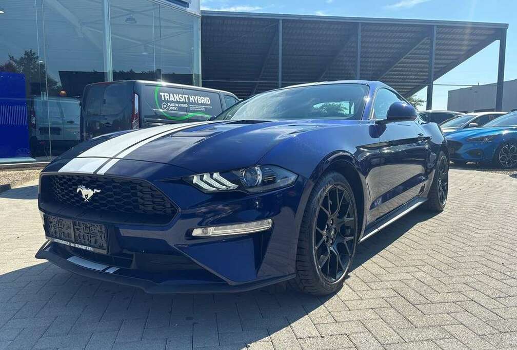 Ford 2.3 Ecoboost Fastback+leder+navi+camera+klimaatzet