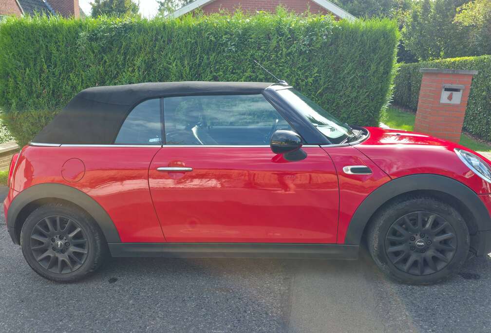 MINI Mini Cabriolet 1.5A Cooper OPF (EU6d-TEMP)
