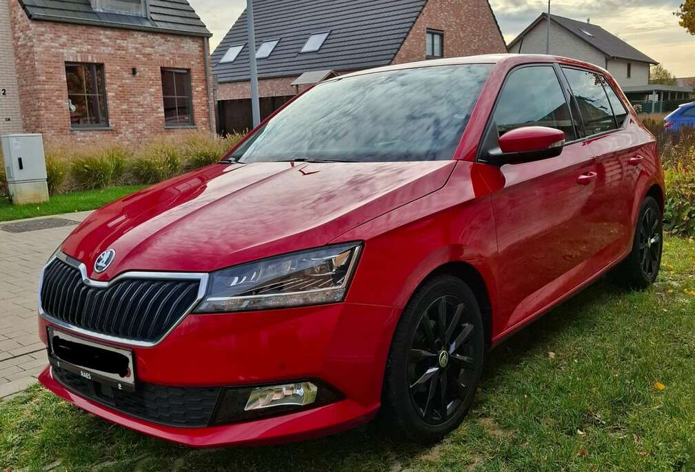Skoda 1.0 TSI Clever