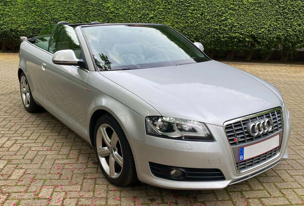 Audi A3 Cabriolet 1.6 TDI DPF S line Sportpaket