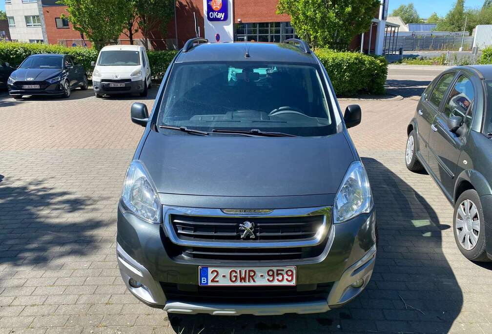 Peugeot Partner Tepee 1.6 BlueHDi Active S
