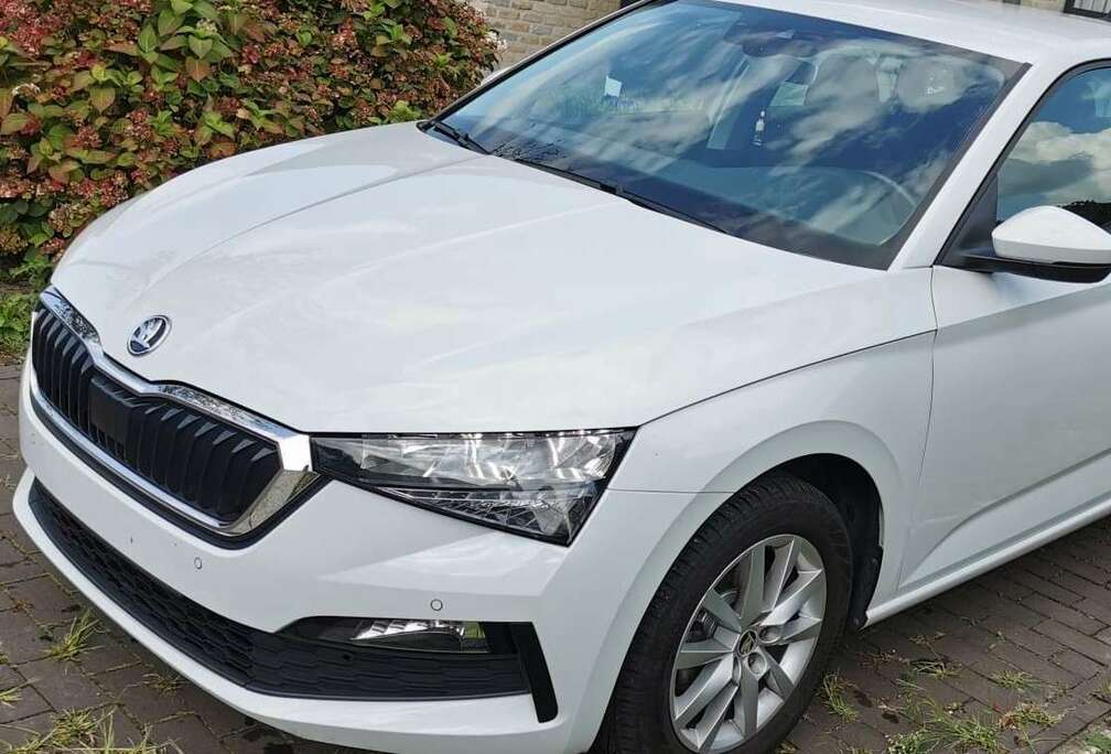 Skoda 1.6 TDI DSG Ambition